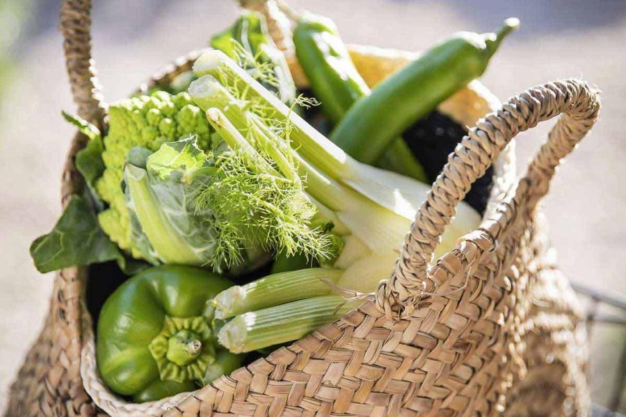 Que cuisine-t-on sur la plancha?